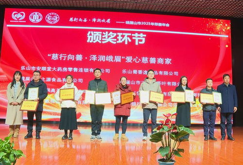 慈行向善 泽润峨眉 —— 2025年度峨眉山市慈善工作喜结硕果，文化艺术交流活动绽放温暖